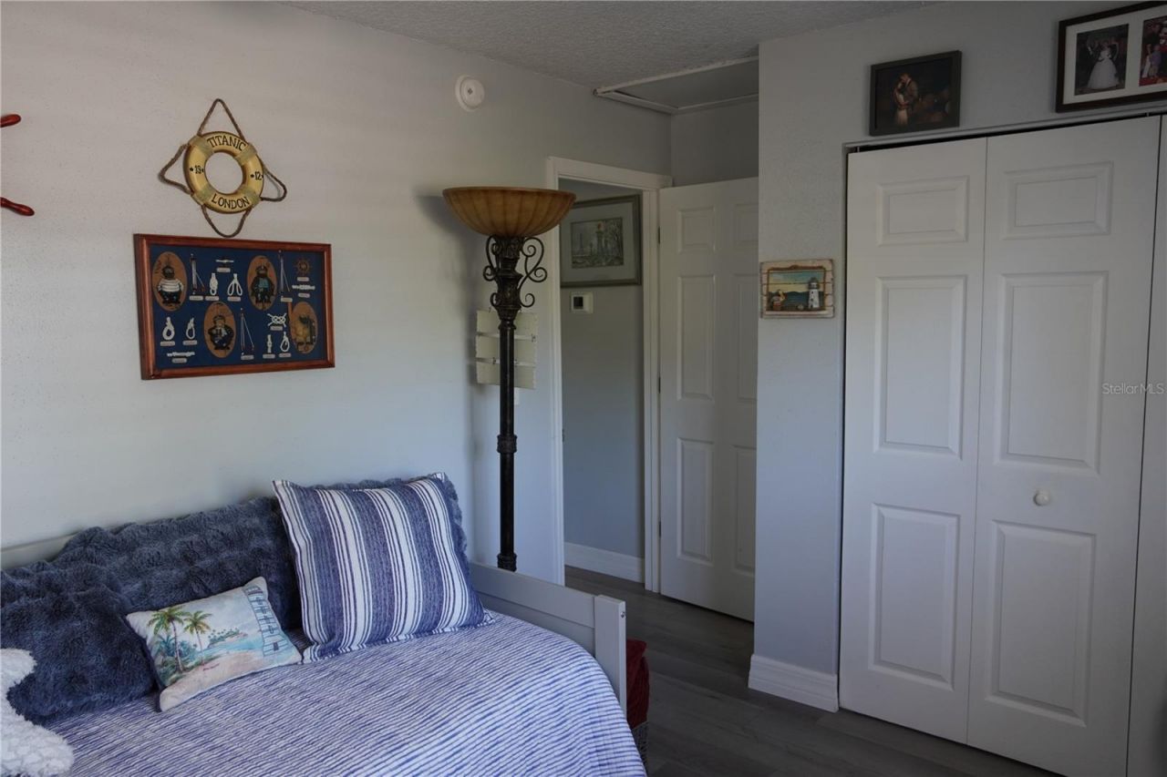 908 Sago Palm Way, Apollo Beach, FL 33572 Photo