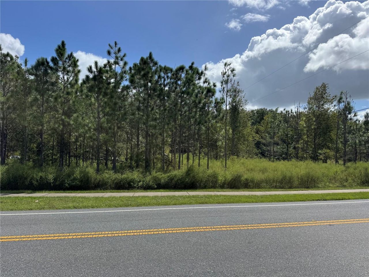 Fishermans Road, Paisley, FL 32767 Photo