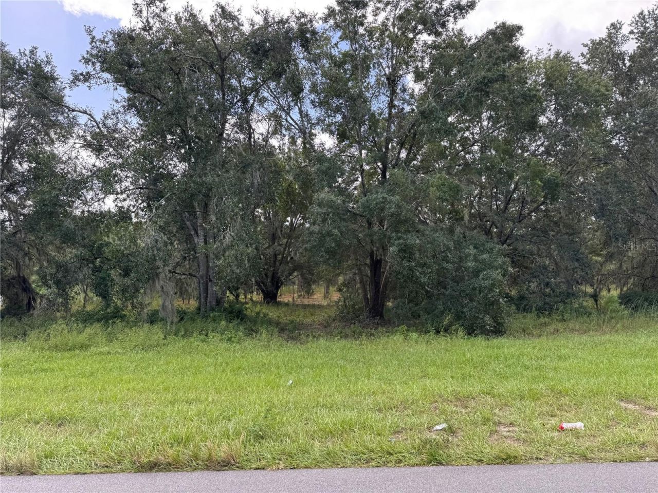 Fishermans Road, Paisley, FL 32767 Photo