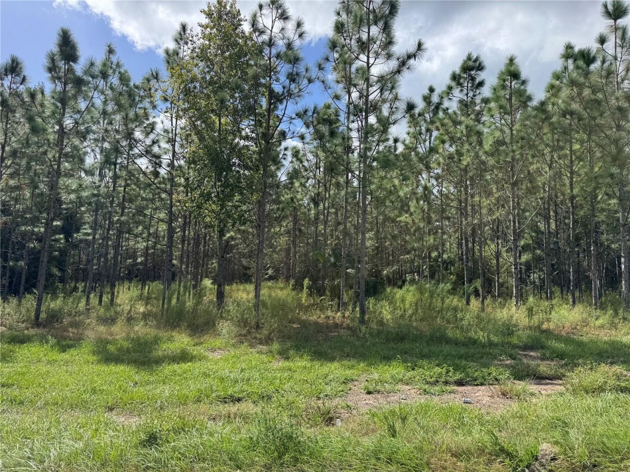 Fishermans Road, Paisley, FL 32767 Photo