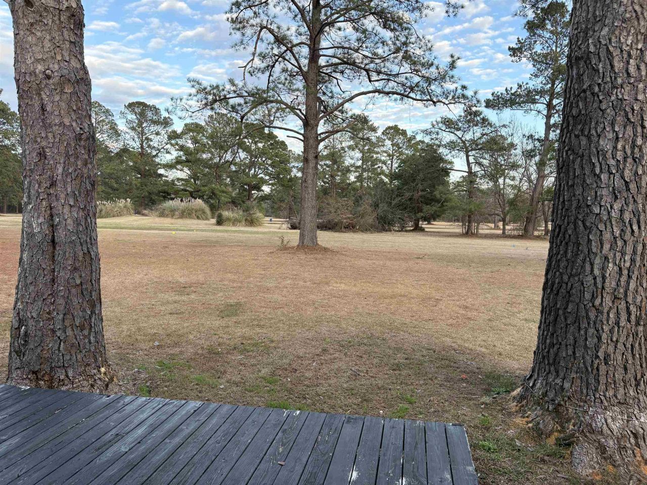 10716 Countyline Rd. Photo 12