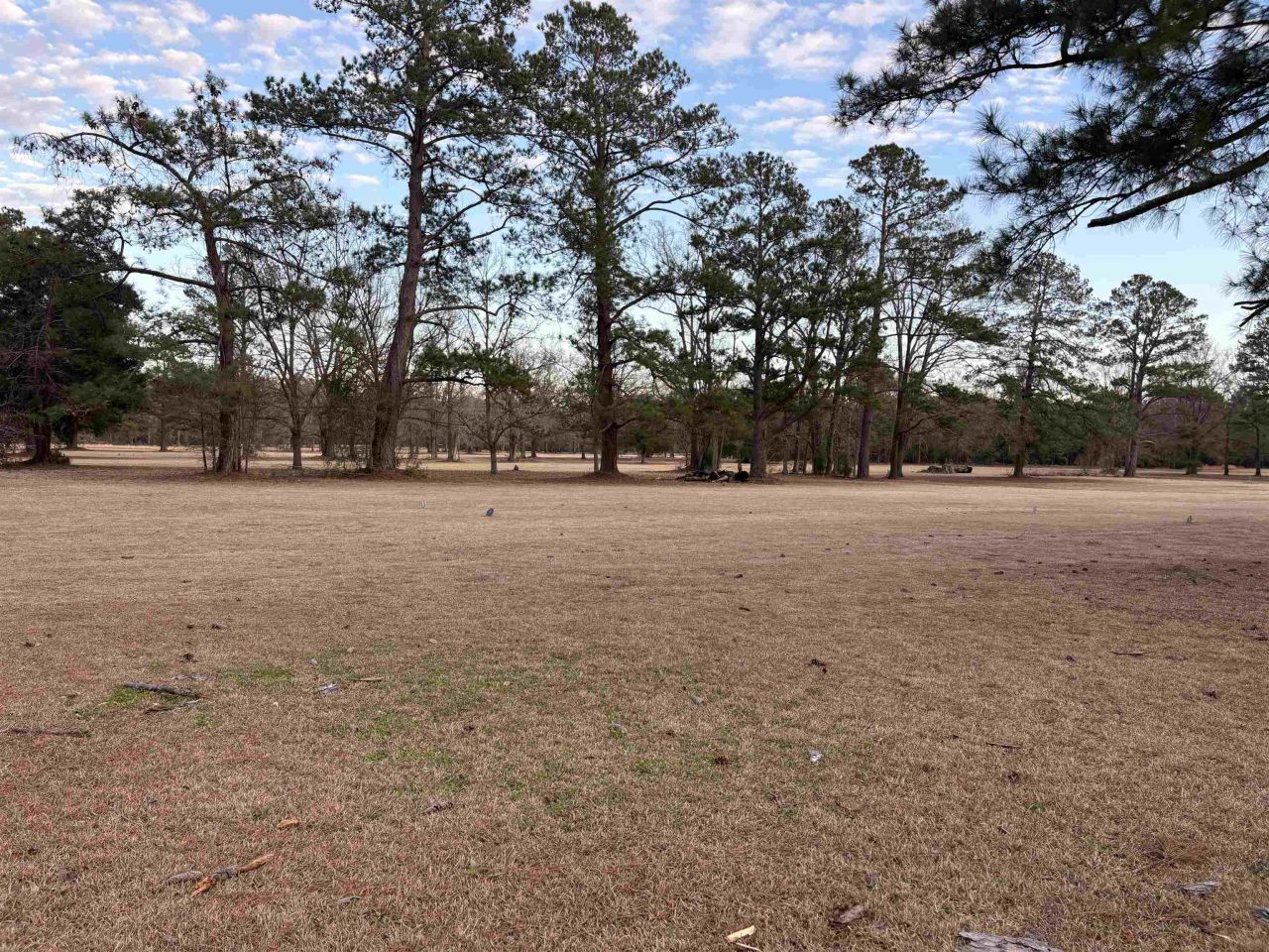 10716 Countyline Rd. Photo 14