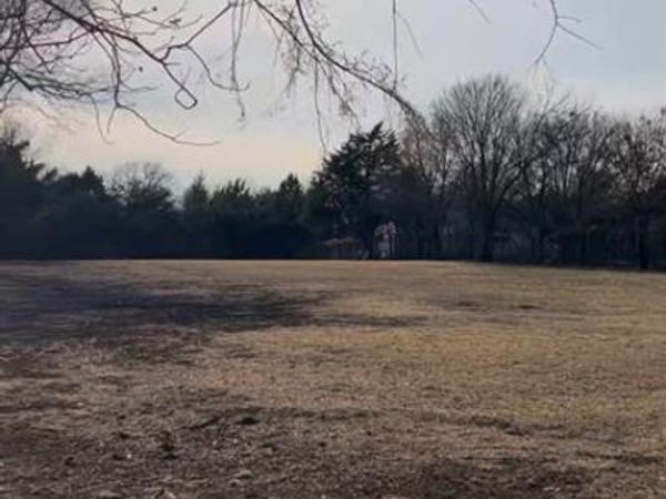 295 Oakwood Drive, Lancaster, TX 75146