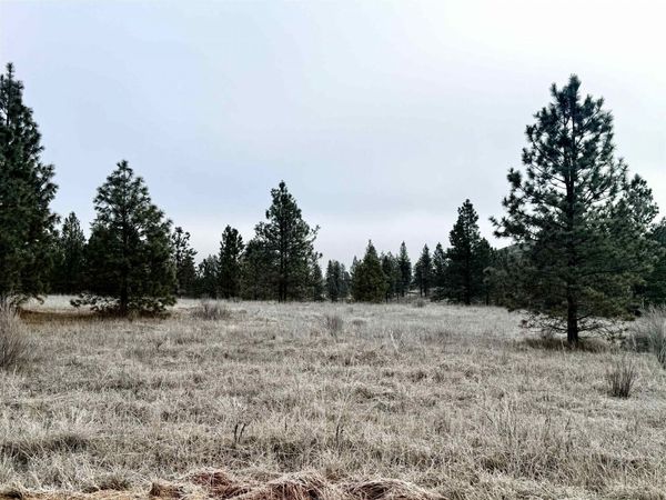 0 N Cayuse Cove Rd, Davenport, WA 99122