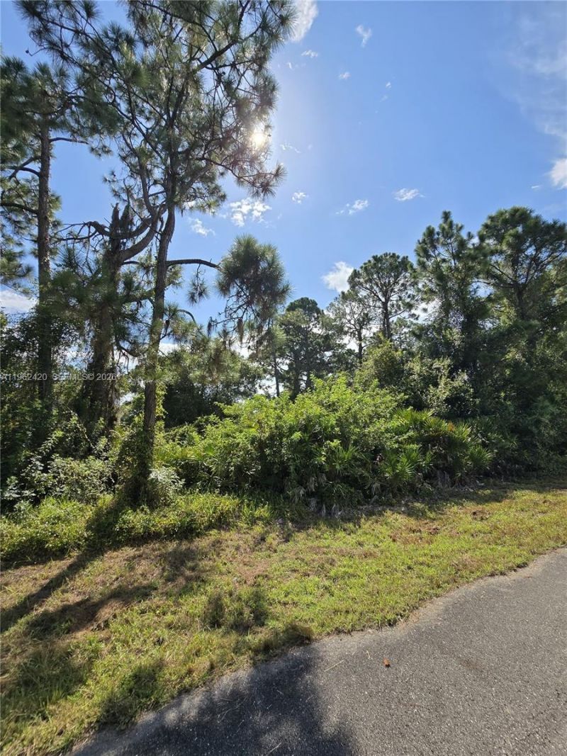 233 Malden Ave S , Lehigh Acres, FL 33974 Photo