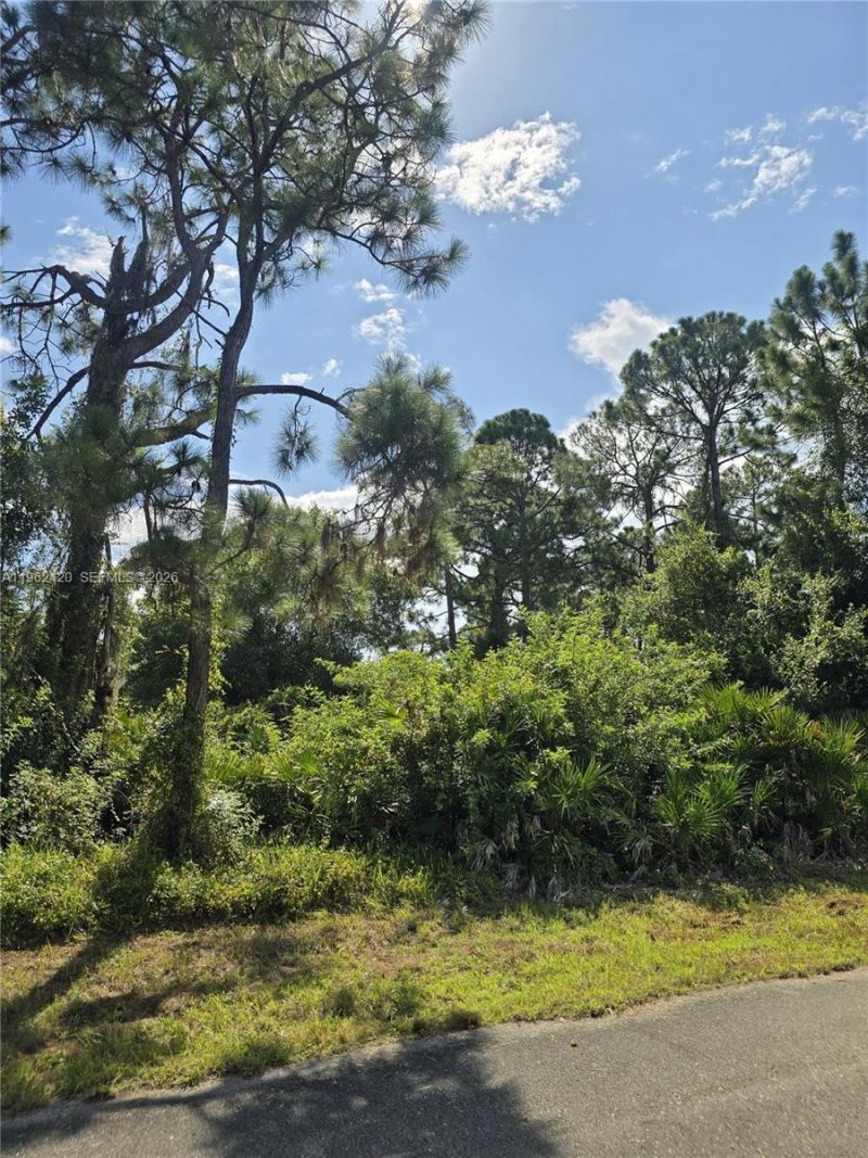 233 Malden Ave S , Lehigh Acres, FL 33974 Photo