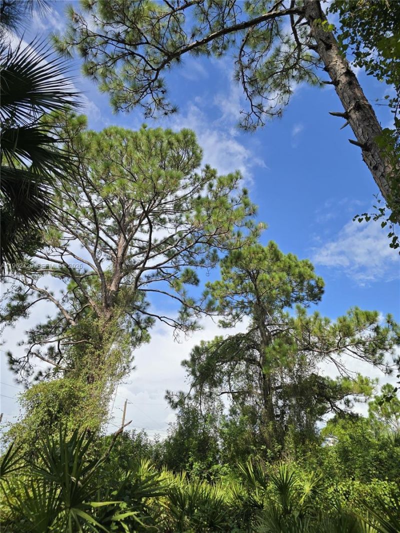 233 Malden Ave S , Lehigh Acres, FL 33974 Photo