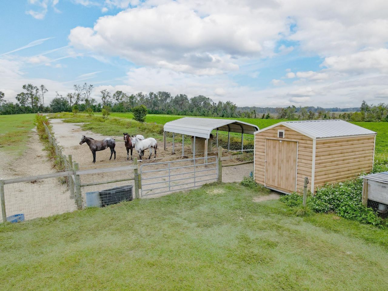 1048 NE Duval Pond Road , Madison, FL 32340 Photo