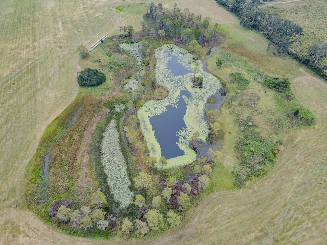 1048 NE Duval Pond Road , Madison, FL 32340 Photo