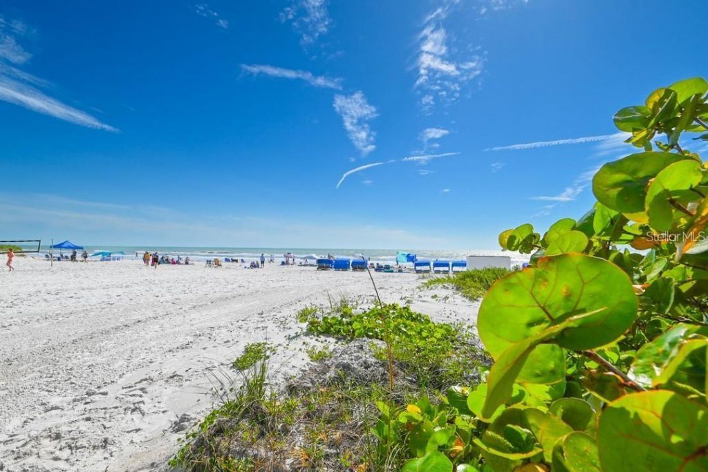 18450 Gulf Boulevard, Unit 103, Indian Shores, FL 33785 Photo