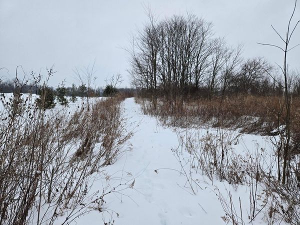 0 Sycamore Road, Centerburg, OH 43011