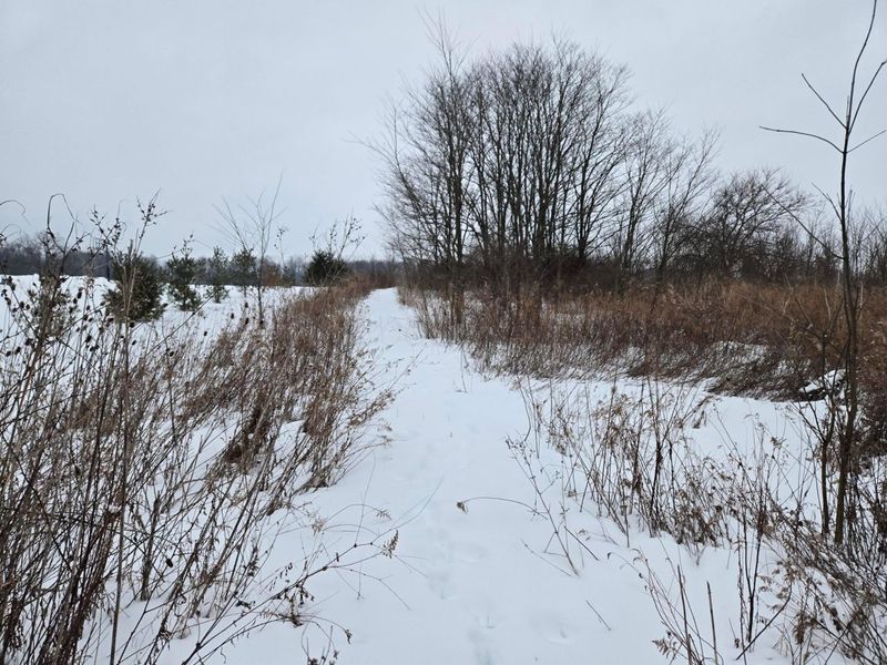 0 Sycamore Road, Centerburg, OH 43011 Photo 1