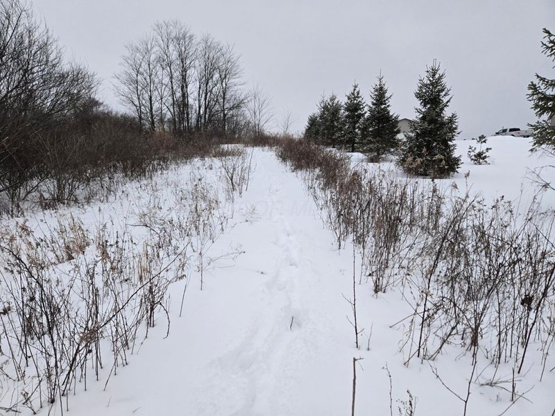 0 Sycamore Road, Centerburg, OH 43011 Photo 10