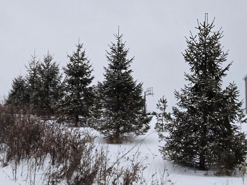 0 Sycamore Road, Centerburg, OH 43011 Photo 14