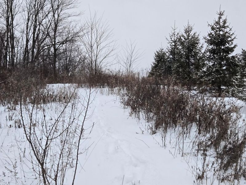 0 Sycamore Road, Centerburg, OH 43011 Photo 15