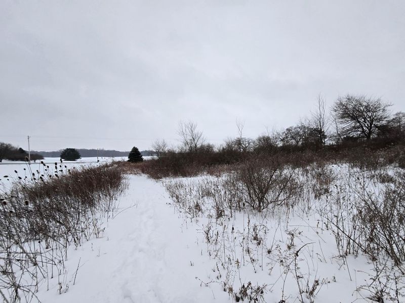 0 Sycamore Road, Centerburg, OH 43011 Photo 16