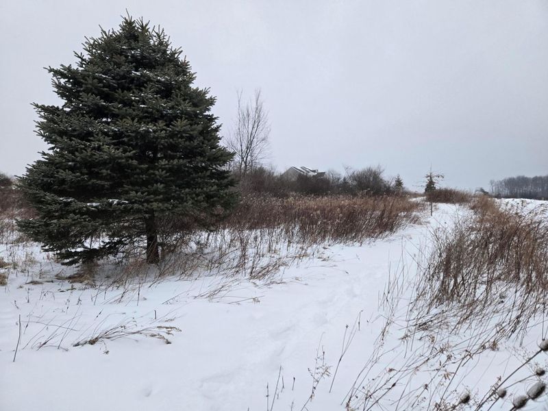 0 Sycamore Road, Centerburg, OH 43011 Photo 17