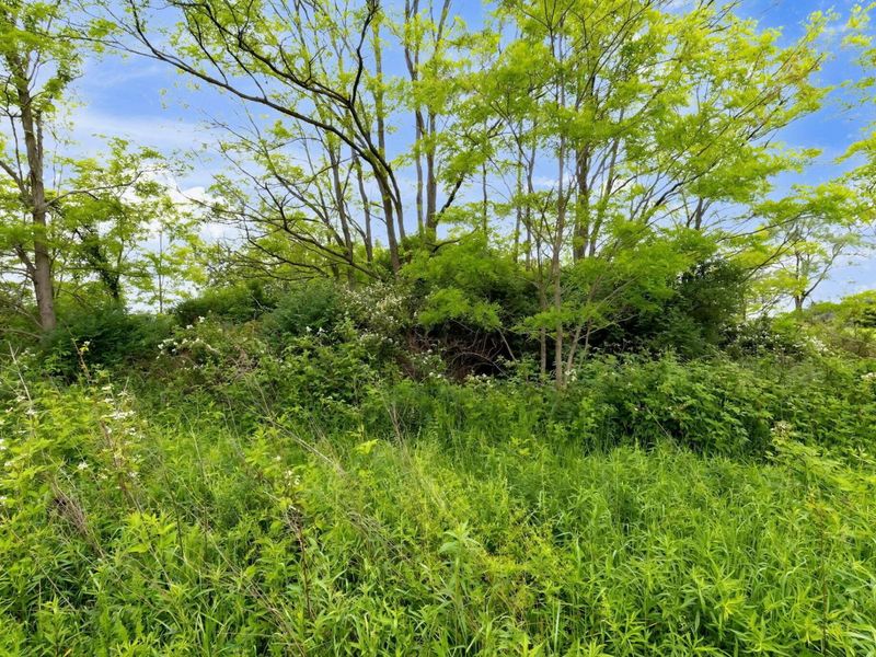 0 Sycamore Road, Centerburg, OH 43011 Photo 19