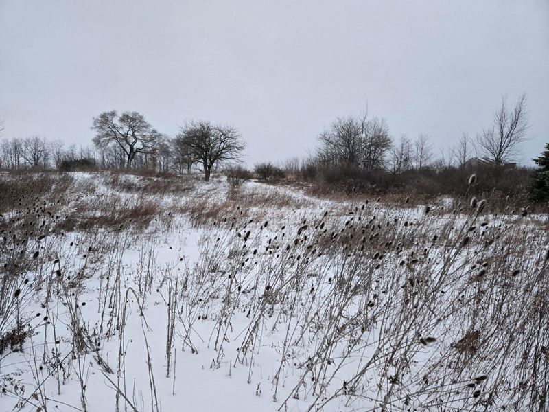 0 Sycamore Road, Centerburg, OH 43011 Photo 20