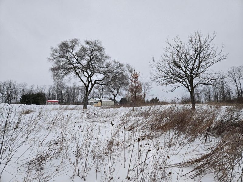 0 Sycamore Road, Centerburg, OH 43011 Photo 22