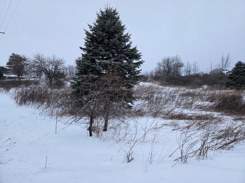 0 Sycamore Road, Centerburg, OH 43011 Photo 25