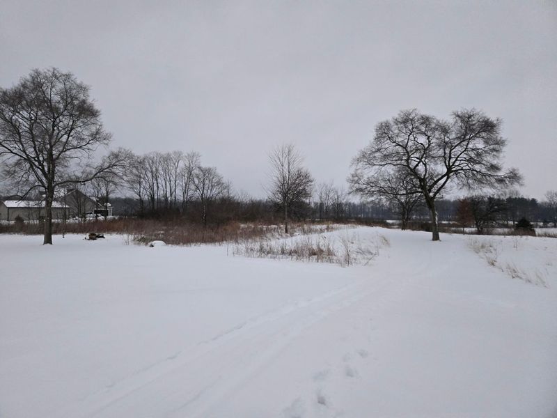 0 Sycamore Road, Centerburg, OH 43011 Photo 26