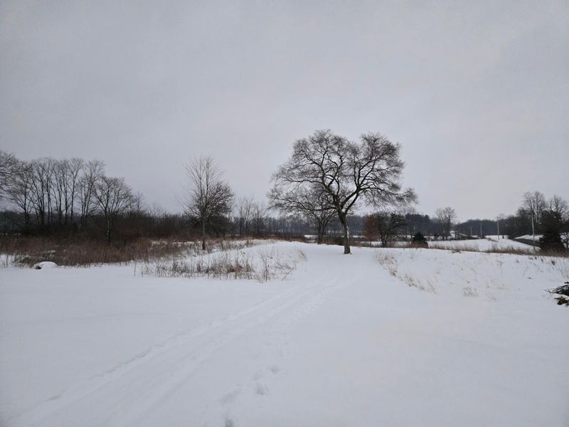 0 Sycamore Road, Centerburg, OH 43011 Photo 27