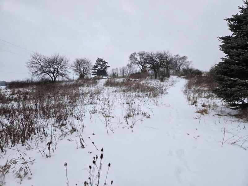 0 Sycamore Road, Centerburg, OH 43011 Photo 5