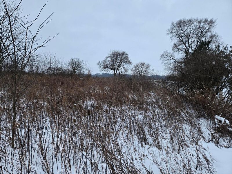 0 Sycamore Road, Centerburg, OH 43011 Photo 6