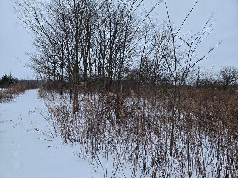 0 Sycamore Road, Centerburg, OH 43011 Photo 7