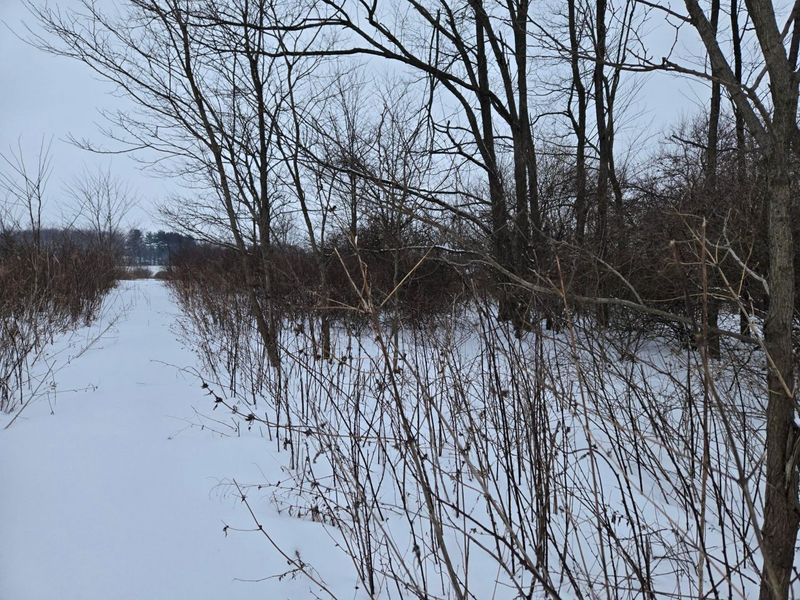 0 Sycamore Road, Centerburg, OH 43011 Photo 9