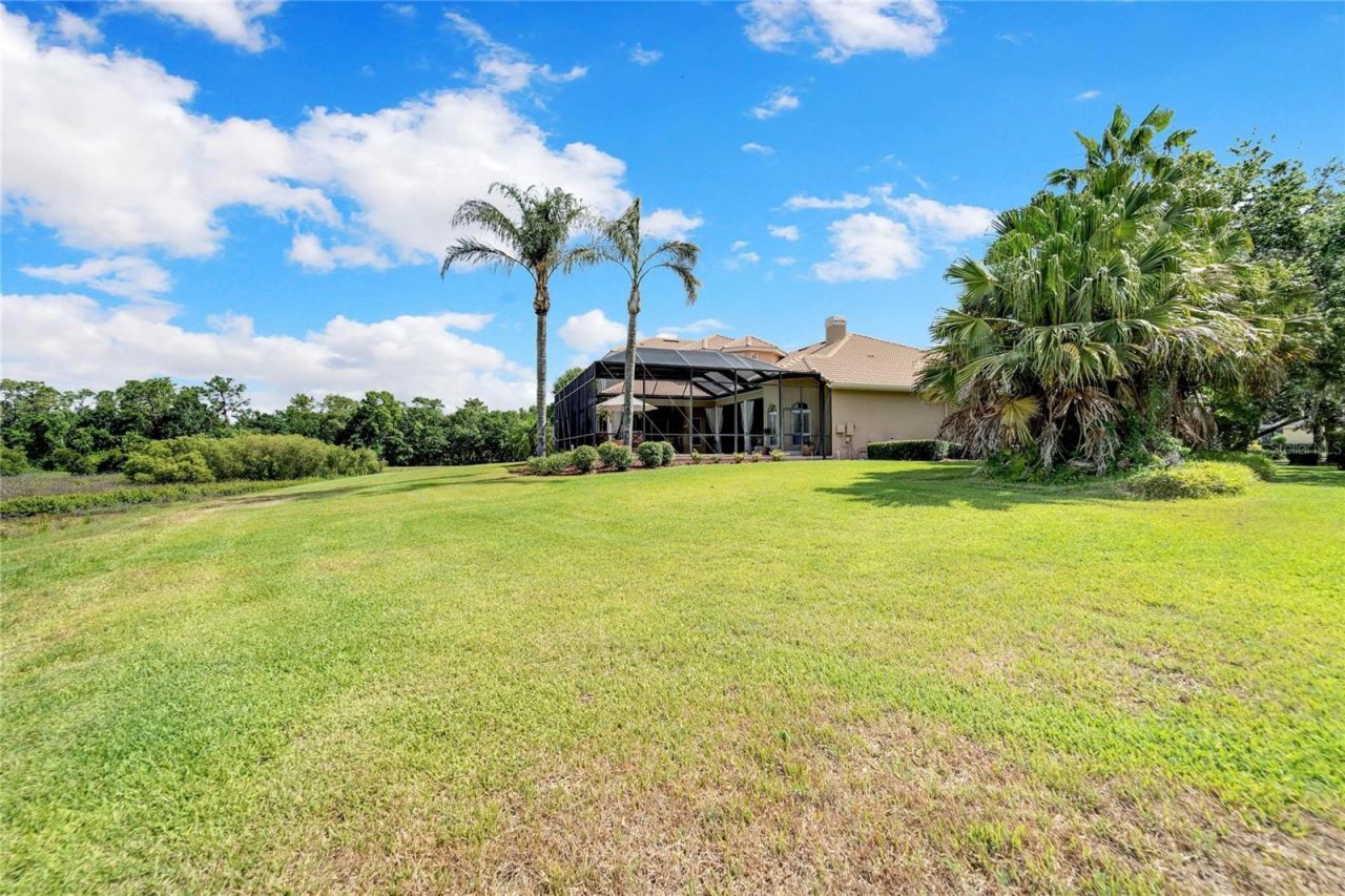 15101 Kestrelglen Way, Lithia, FL 33547 Photo