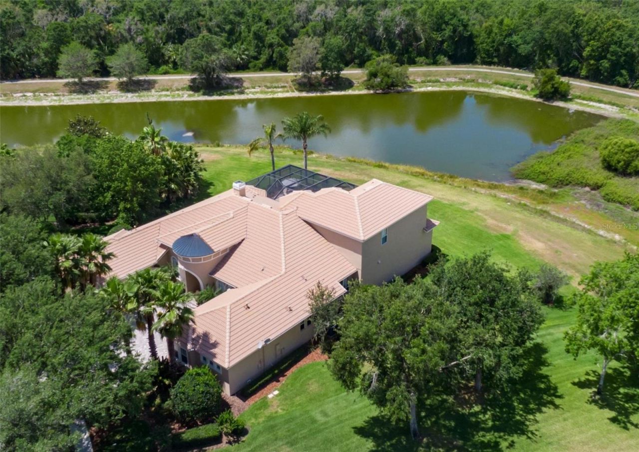 15101 Kestrelglen Way, Lithia, FL 33547 Photo