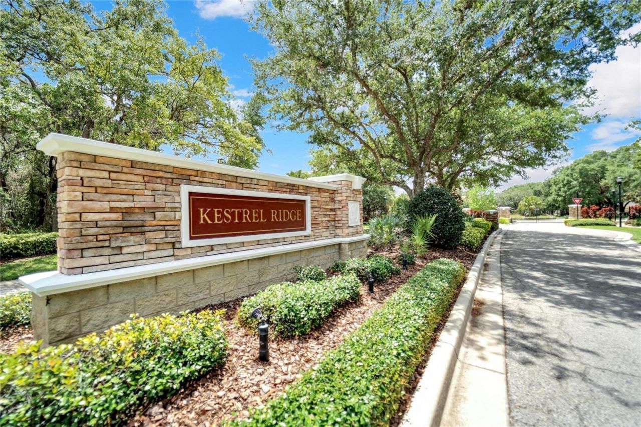 15101 Kestrelglen Way, Lithia, FL 33547 Photo