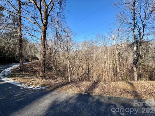 42 Asa Gray Drive, Lake Lure, NC 28720