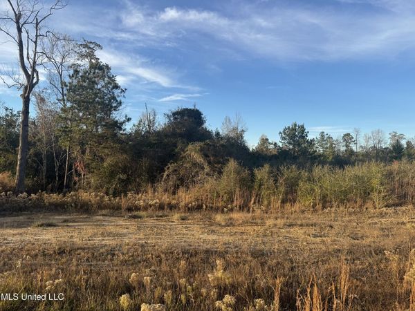 8 Acres Parker Road, McHenry, MS 39561