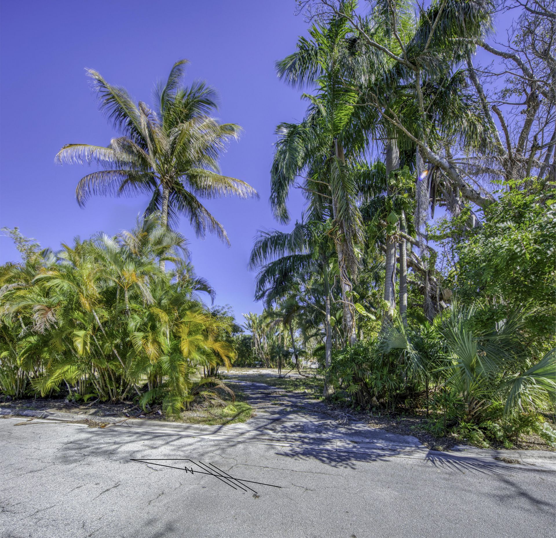 1118 S Palmway, Lake Worth Beach, FL 33460 Photo