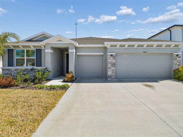 12436 SHINING WILLOW STREET, RIVERVIEW, FL 33579