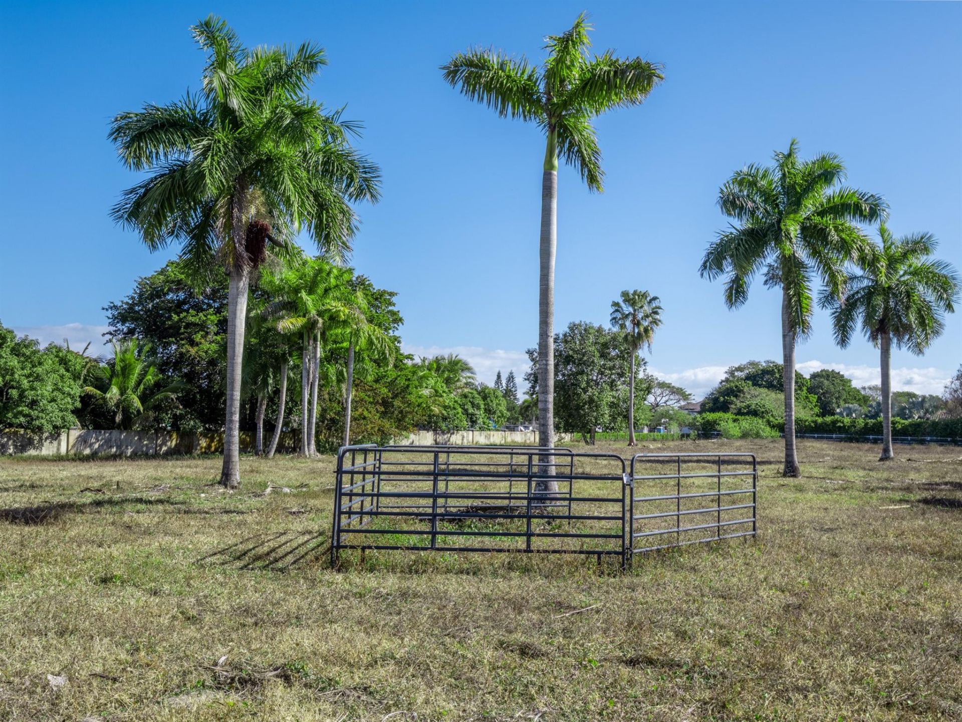 17701 SW 54 St, Southwest Ranches, FL 33331 Photo