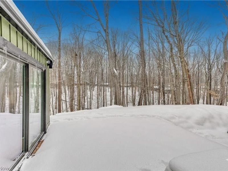 12306 The Bluffs, Strongsville, OH 44136 Photo 37