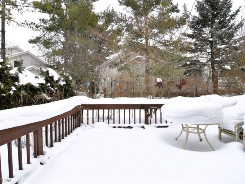 13 Saratoga Court, Beachwood, OH 44122 Photo 24