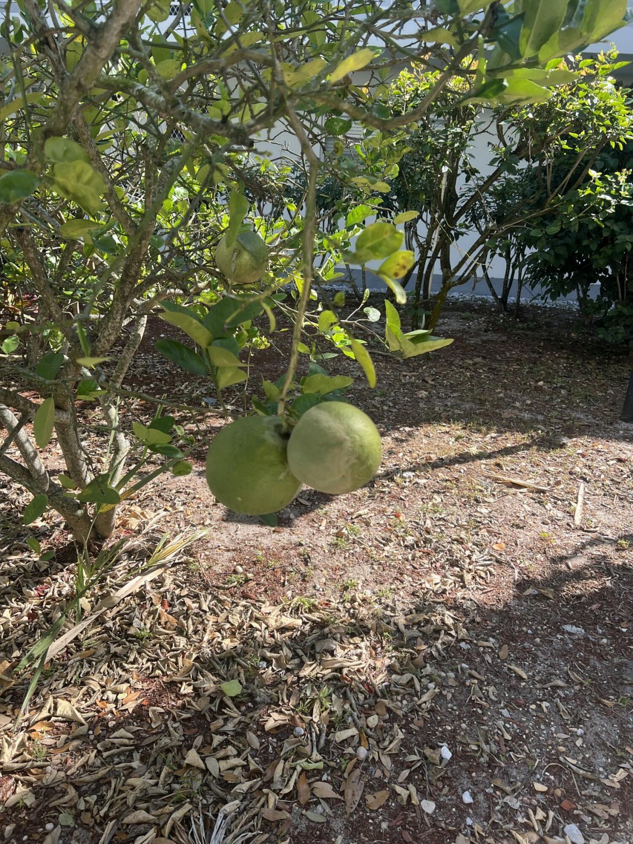 2302 Sunrise, Unit 3-201, Fort Pierce, FL 34949 Photo