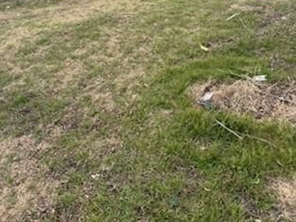 S40 - 20 3 ORR 0.069 ACRE Ash Street, Ferris, TX 75125