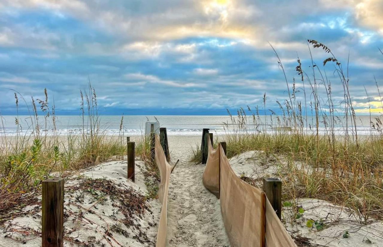 314 Tall Pines Way Photo 59