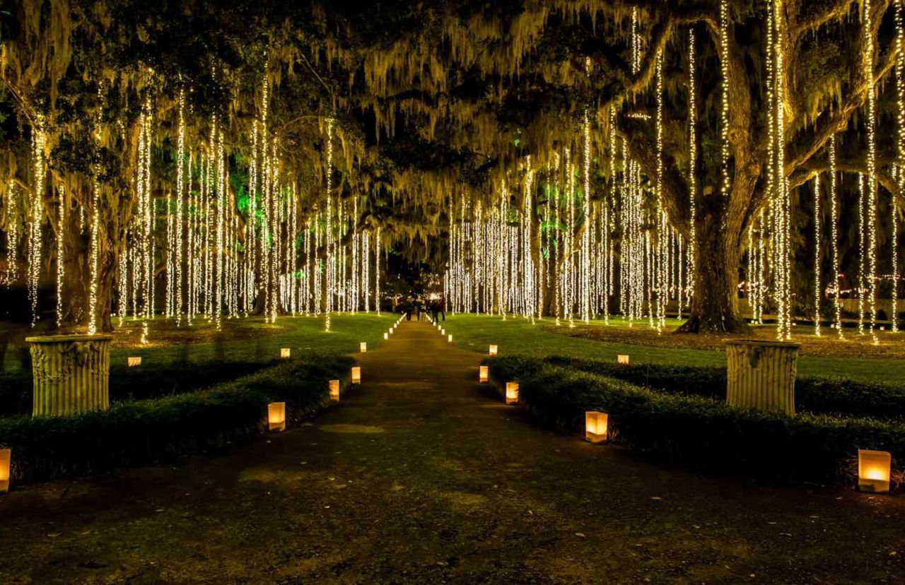 314 Tall Pines Way Photo 62