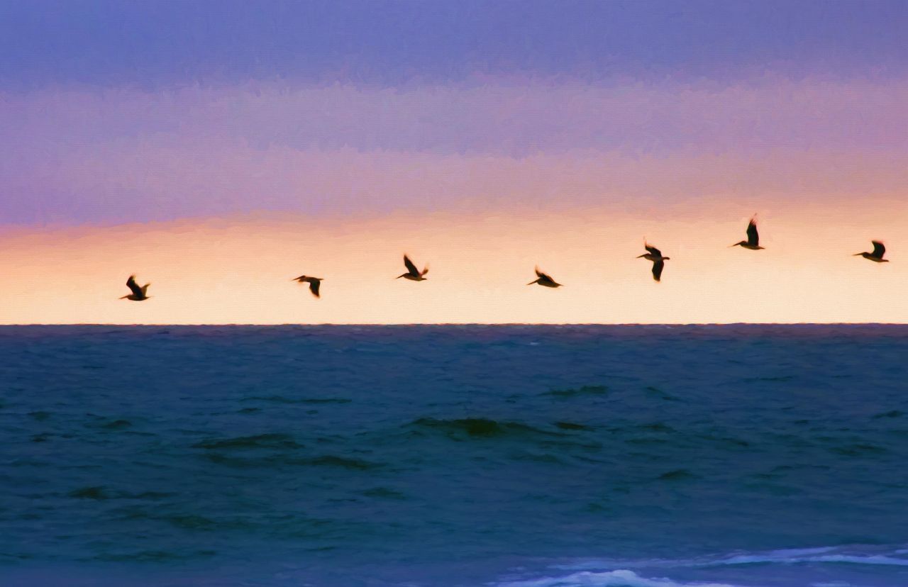 314 Tall Pines Way Photo 63