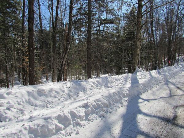 000F-320 Bourbon Run, Jamaica, VT 05343
