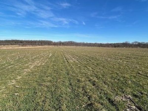 000 Holly Road , Pierce City, MO 65723