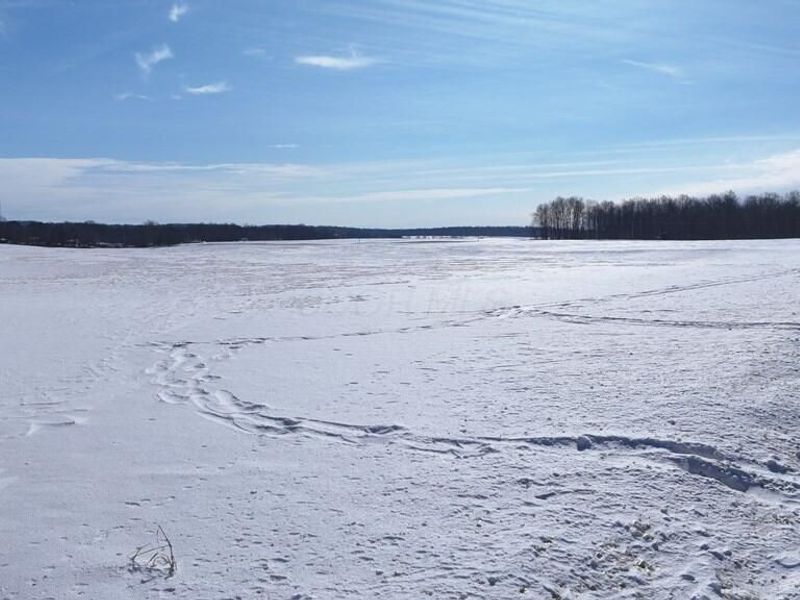 0 Algire Road, Bellville, OH 44813 Photo 11