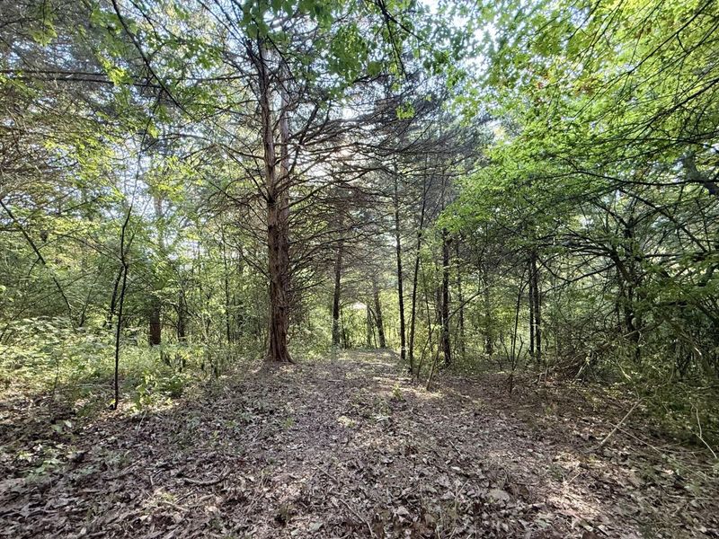 57 +/- Acres Conley Road, Morning View, KY 41063 Photo 10